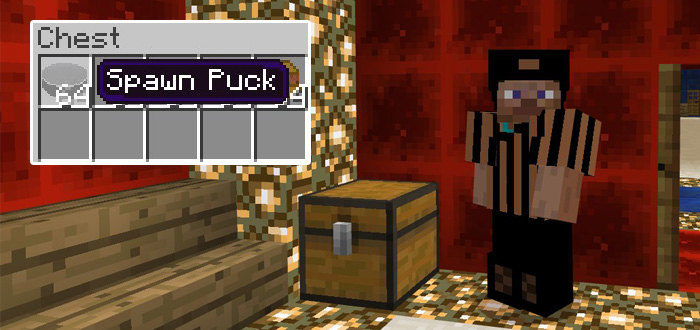 Ice Hockey Minigame Image 2