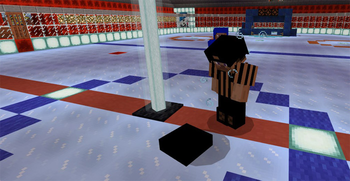 Ice Hockey Minigame Image 7