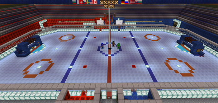 Ice Hockey Minigame Image 9